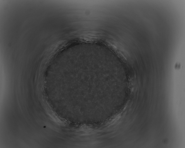 X0000096651009200802121127