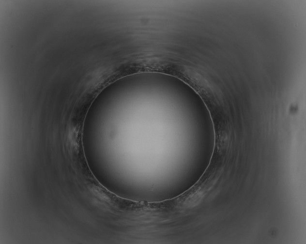 X0000096651010200802121127