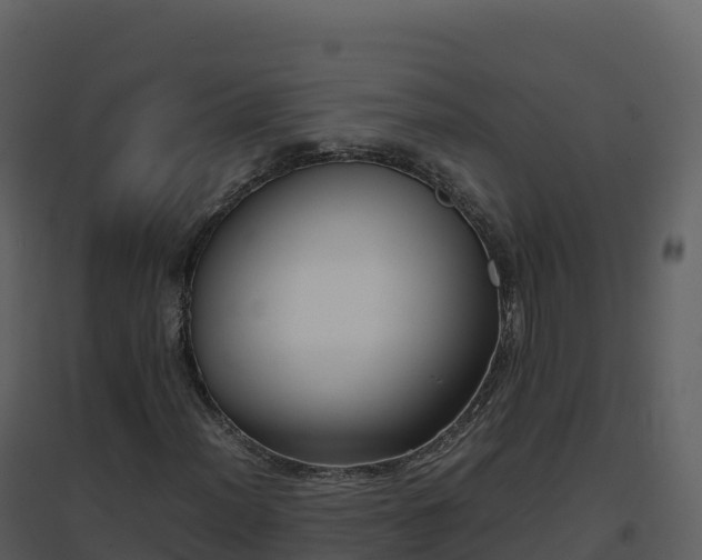 X0000096651012200802121127