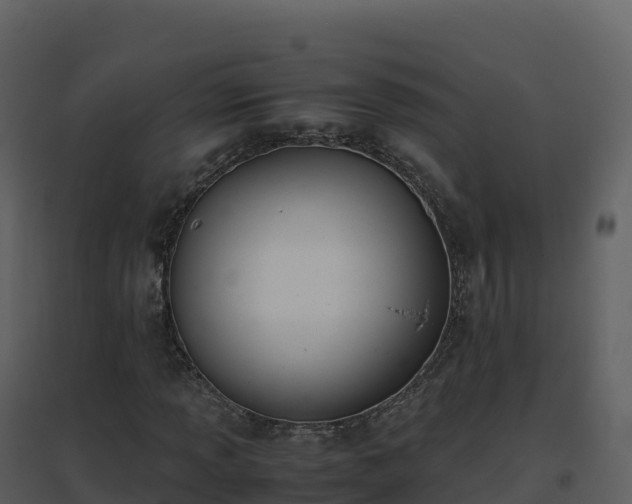 X0000096651013200802121127