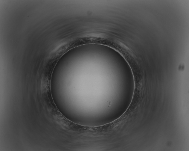 X0000096651014200802121127