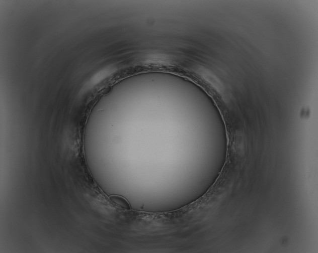 X0000096651015200802121127