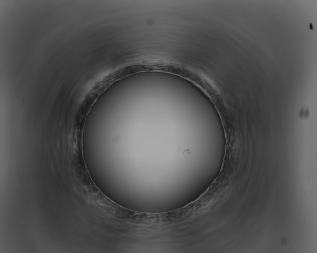 X0000096651016200802121128