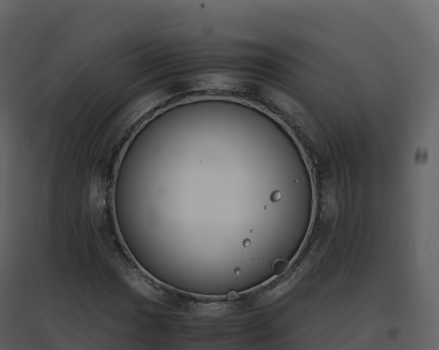 X0000096651017200802121128