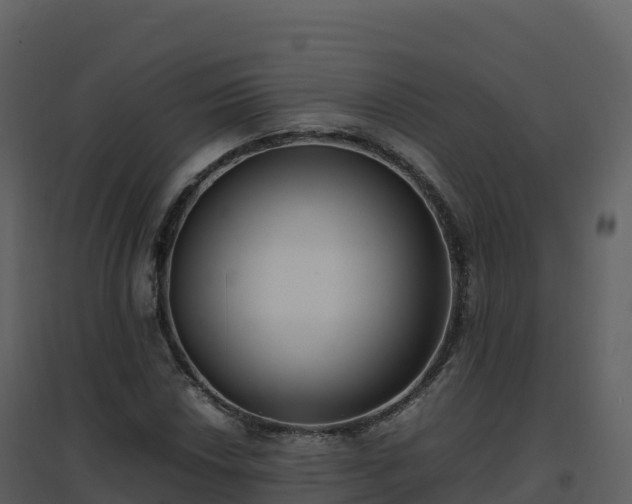X0000096651018200802121128