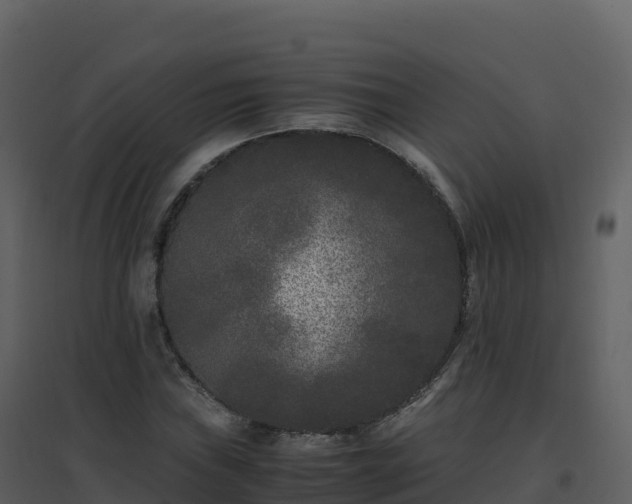 X0000096651019200802121128