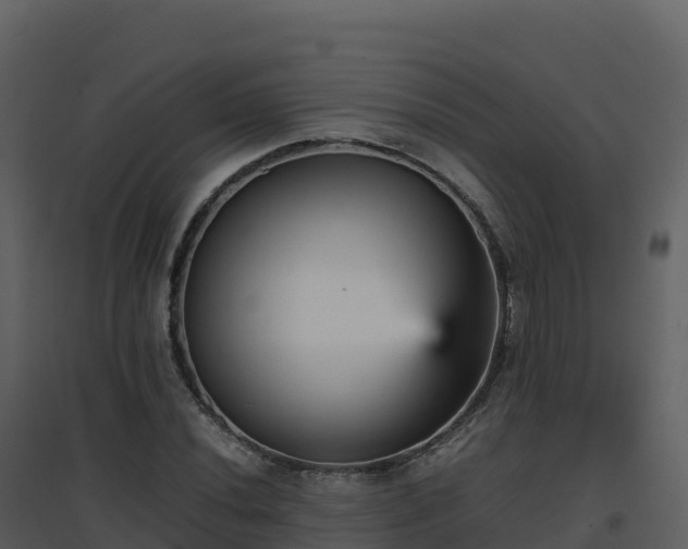 X0000096651020200802121128