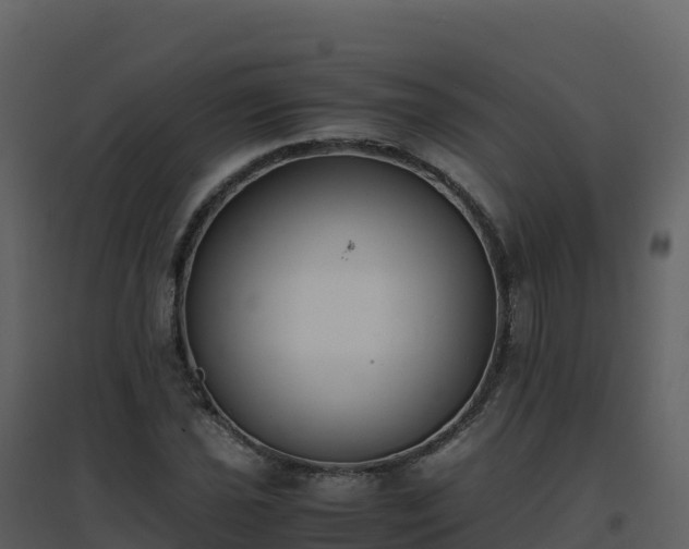 X0000096651021200802121128