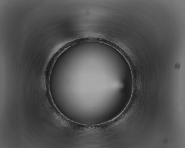 X0000096651022200802121128