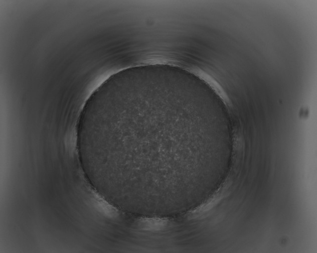X0000096651023200802121128