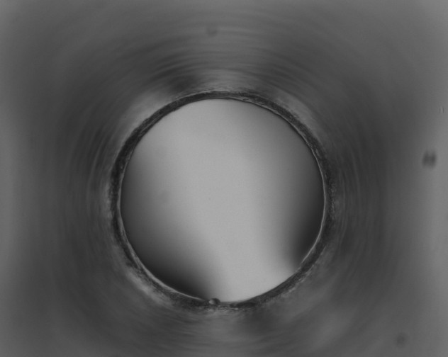 X0000096651026200802121128