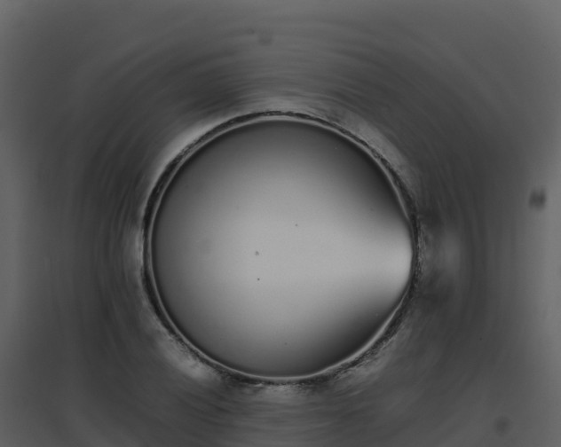 X0000096651028200802121128