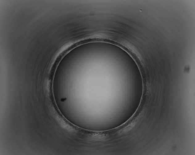 X0000096651029200802121128