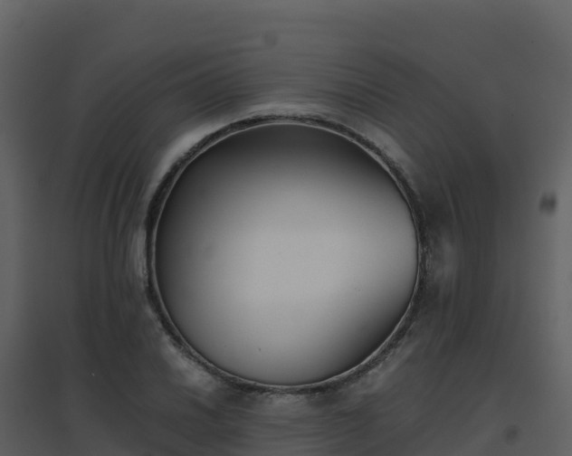 X0000096651030200802121128