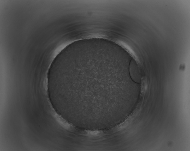 X0000096651031200802121128