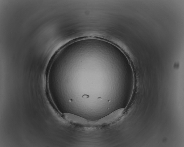 X0000096651032200802121128