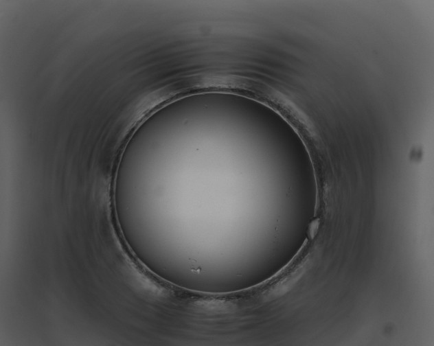 X0000096651033200802121128