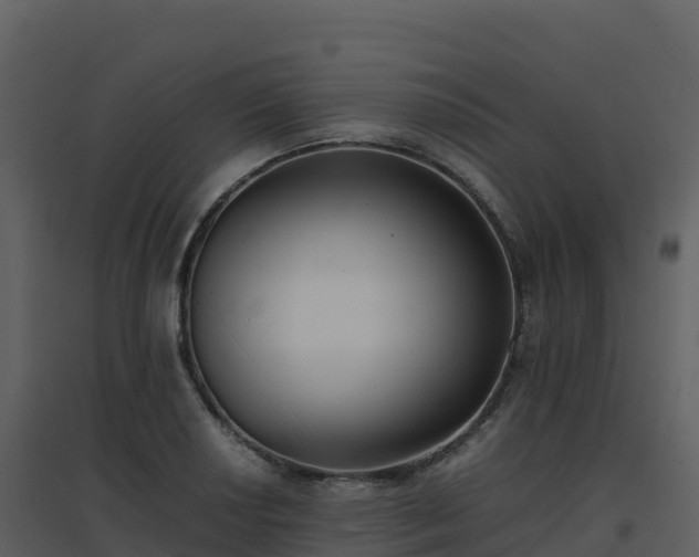 X0000096651034200802121128