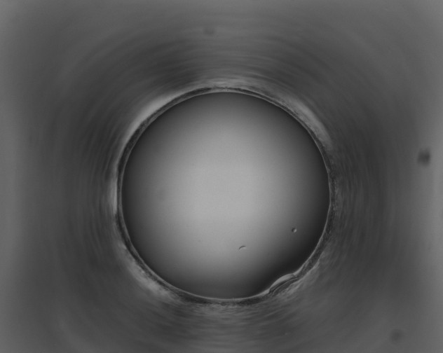 X0000096651036200802121128