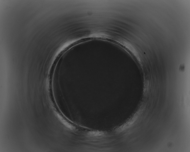 X0000096651037200802121128