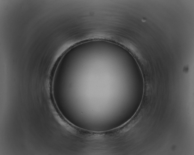 X0000096651038200802121128