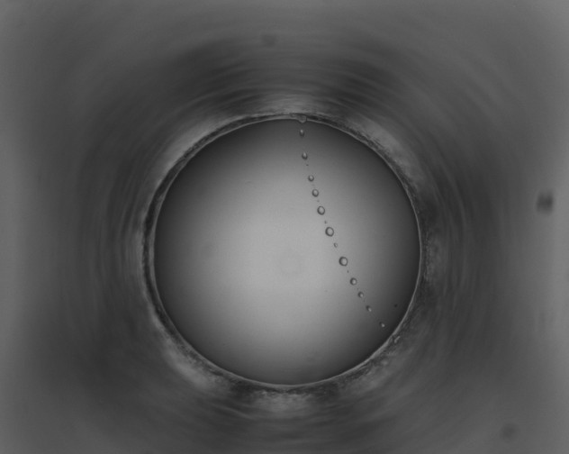 X0000096651039200802121128