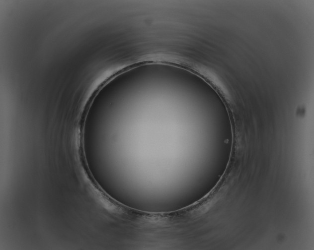 X0000096651040200802121128