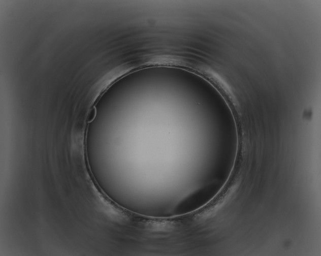 X0000096651041200802121128