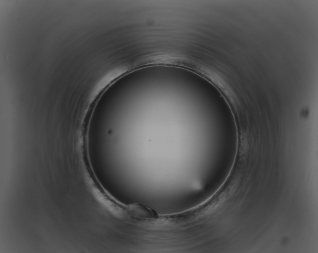 X0000096651042200802121128