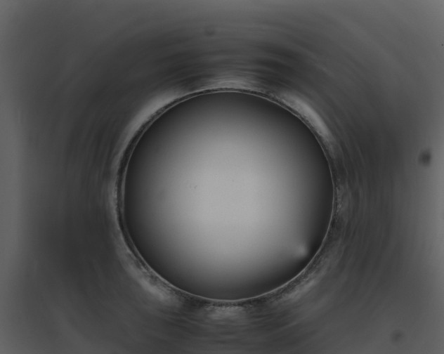 X0000096651043200802121128