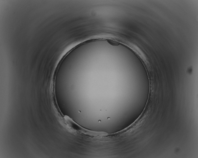 X0000096651044200802121128