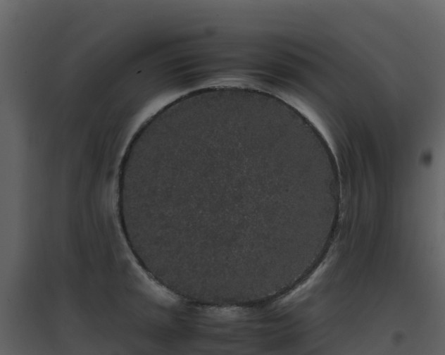 X0000096651045200802121128