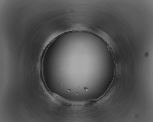 X0000096651046200802121128