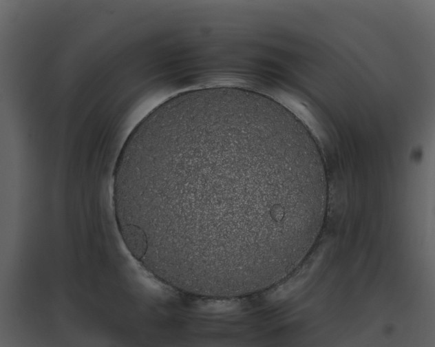 X0000096651047200802121128