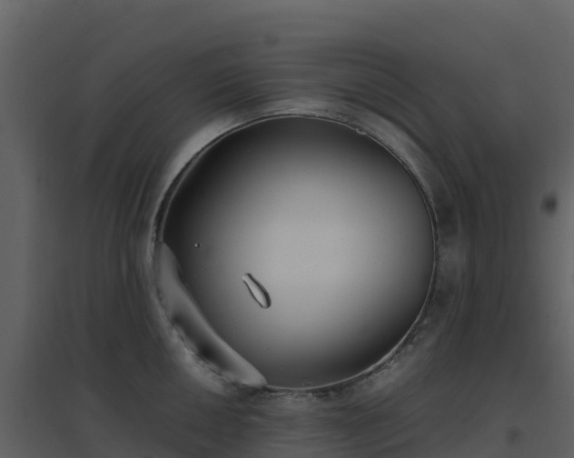 X0000096651050200802121128
