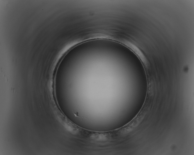 X0000096651051200802121128