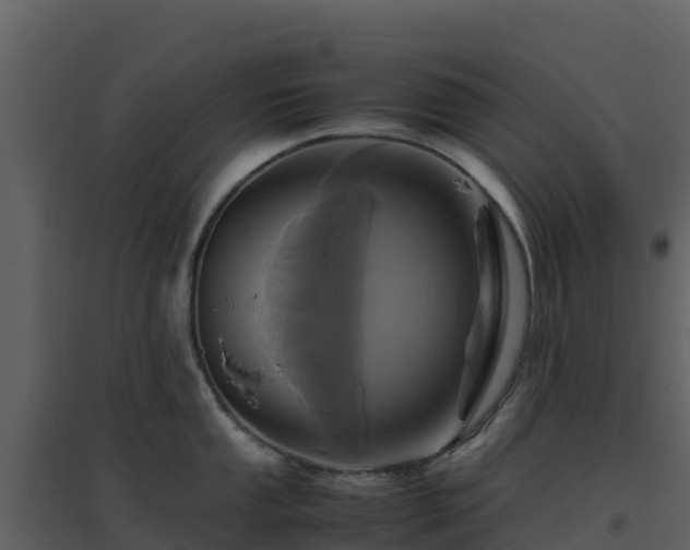X0000096651053200802121128