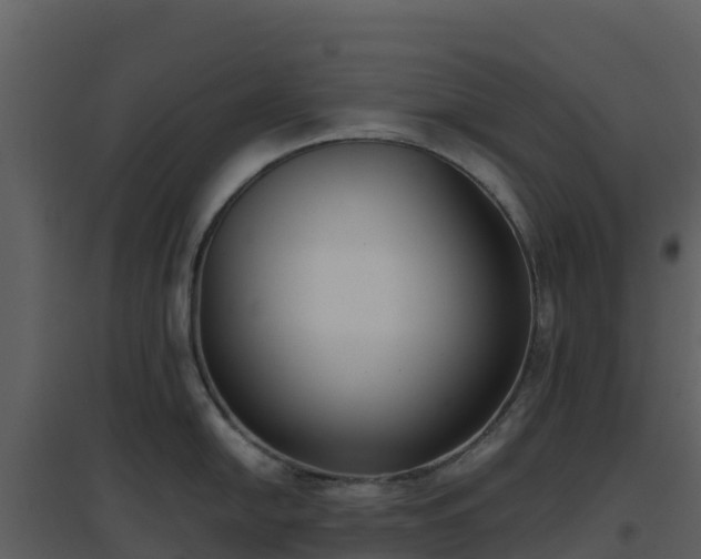 X0000096651054200802121128