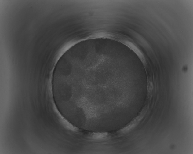 X0000096651055200802121128
