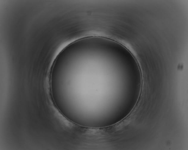 X0000096651056200802121128