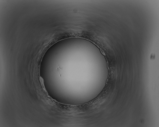 X0000096651057200802121127