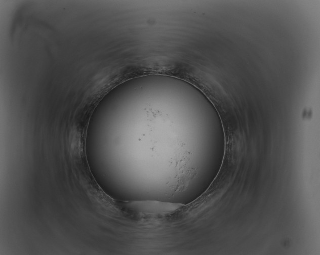 X0000096651058200802121127
