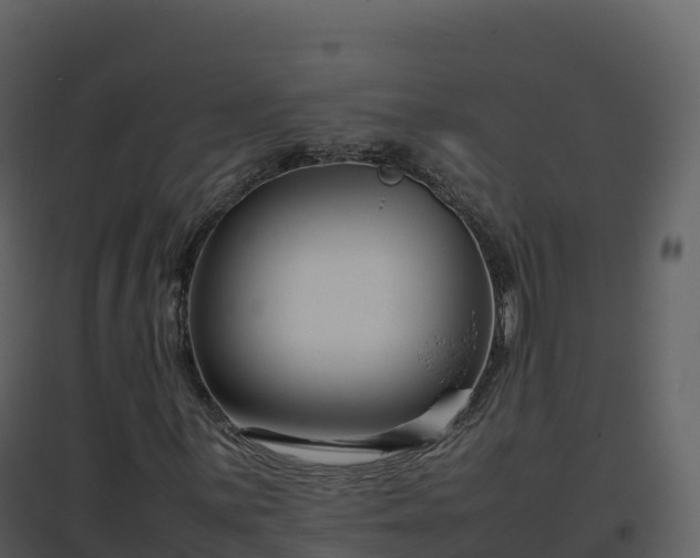 X0000096651059200802121127