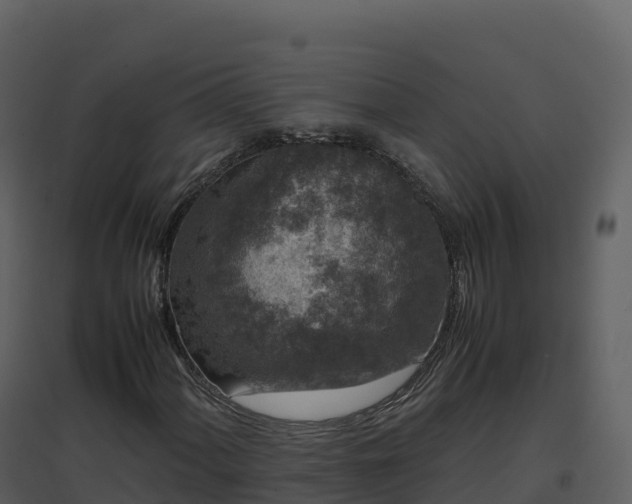 X0000096651060200802121127
