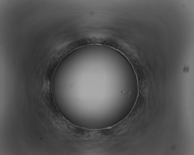 X0000096651061200802121127