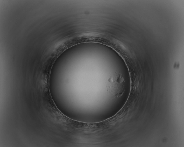 X0000096651062200802121127