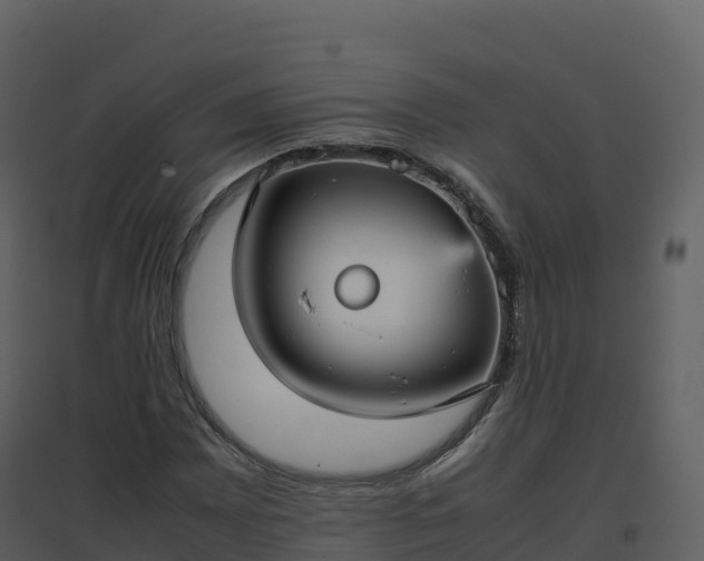 X0000096651065200802121127