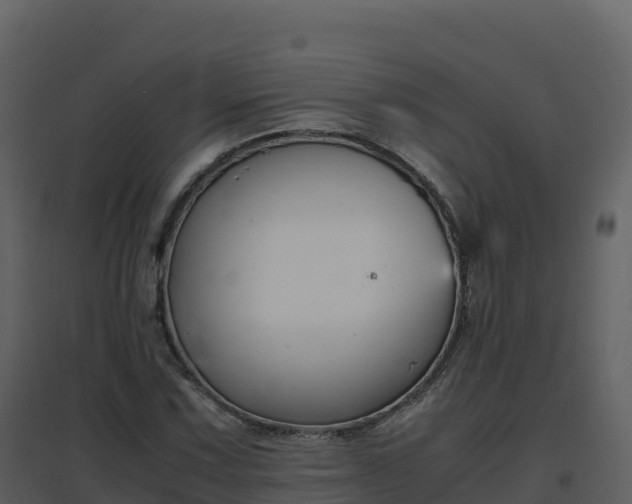 X0000096651067200802121127