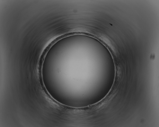 X0000096651068200802121127