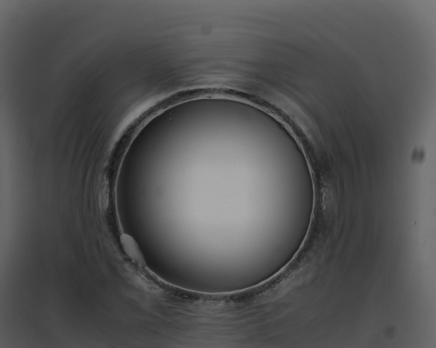X0000096651069200802121127